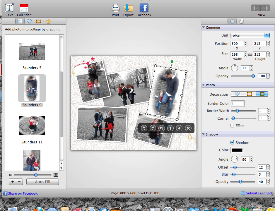 Picture Collage Maker for Mac, Picture Editor