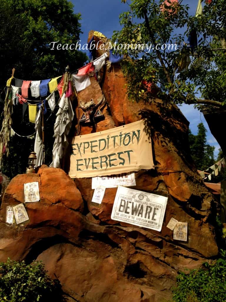 Expedition Everest, Do you have to plan everything for a Disney Vacation? Disney Vacation Planning, How not to stress planning a Disney World Vacation, fastpass