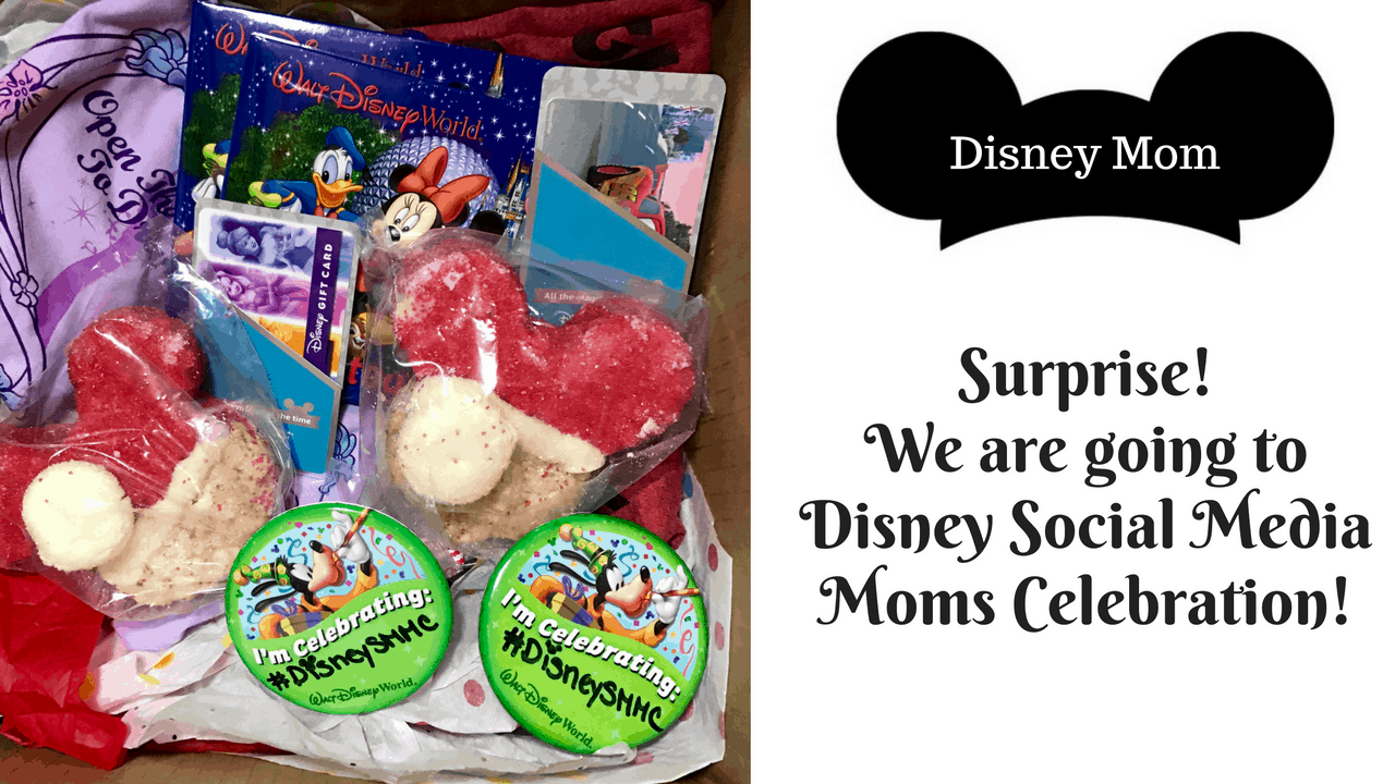 https://www.withashleyandco.com/wp-content/uploads/2016/12/Surprise-We-are-going-to-DisneySMMC.png