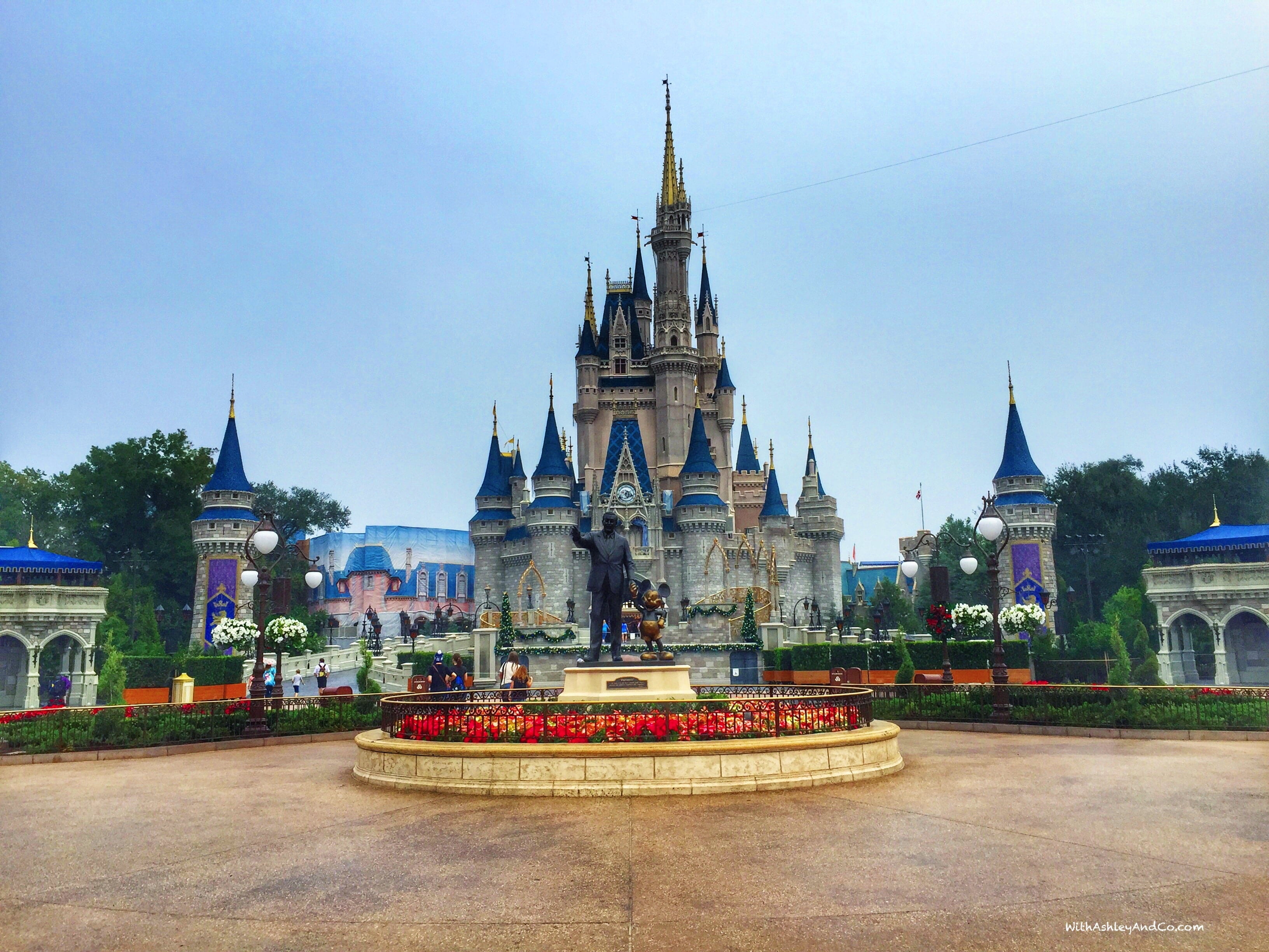 Disney World 101 - 20- Things You Should Know About Visiting The