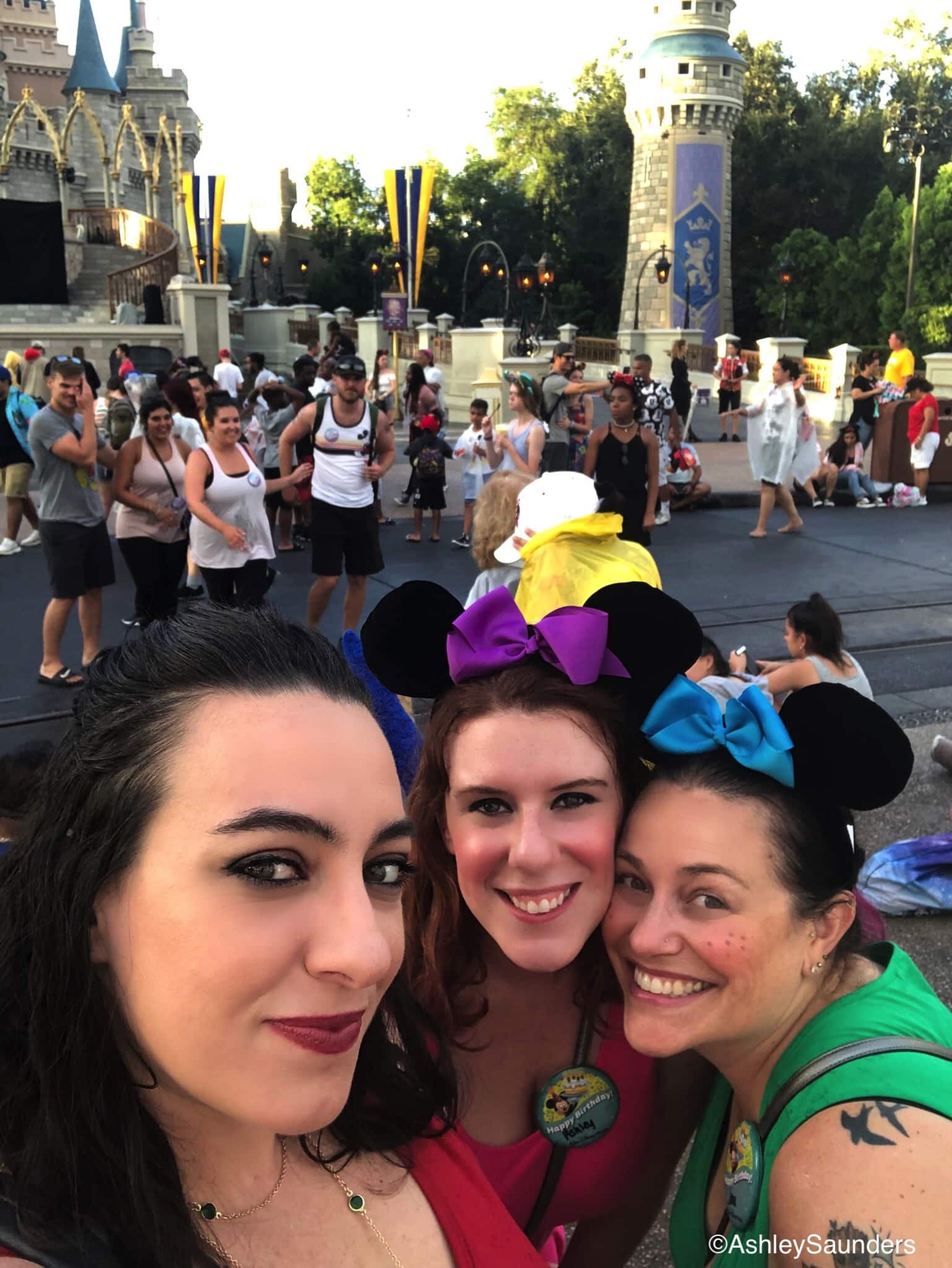 Stepsisters Disneybound On a Budget