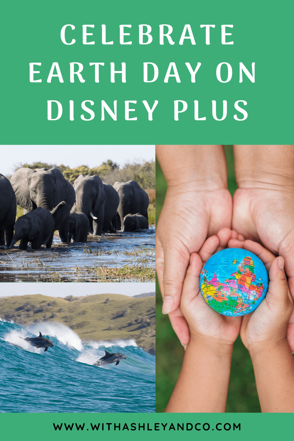 Earth Day on Disney Plus Pin