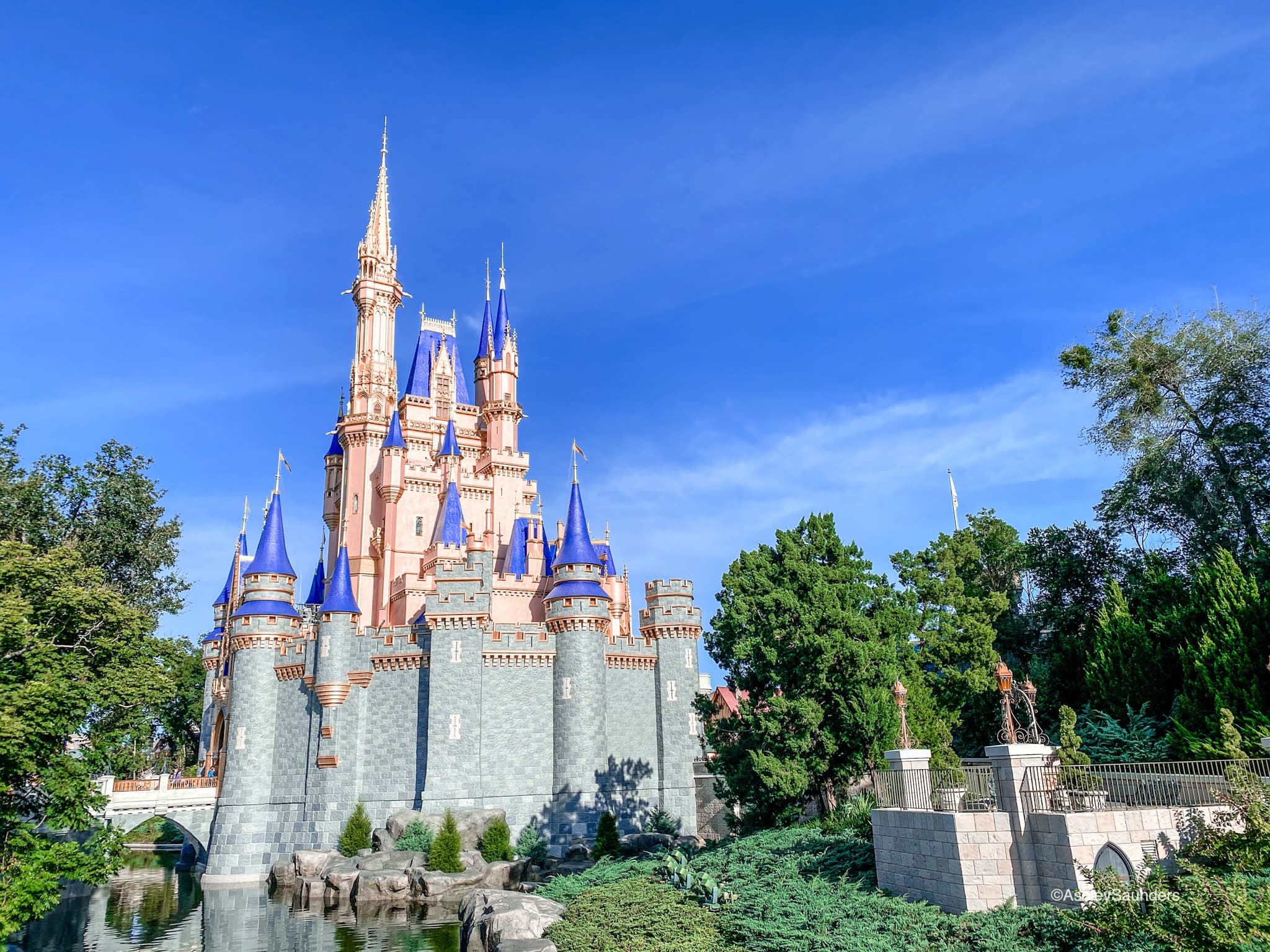 Visiting Disney World in 2020? Here is What You Need To Know