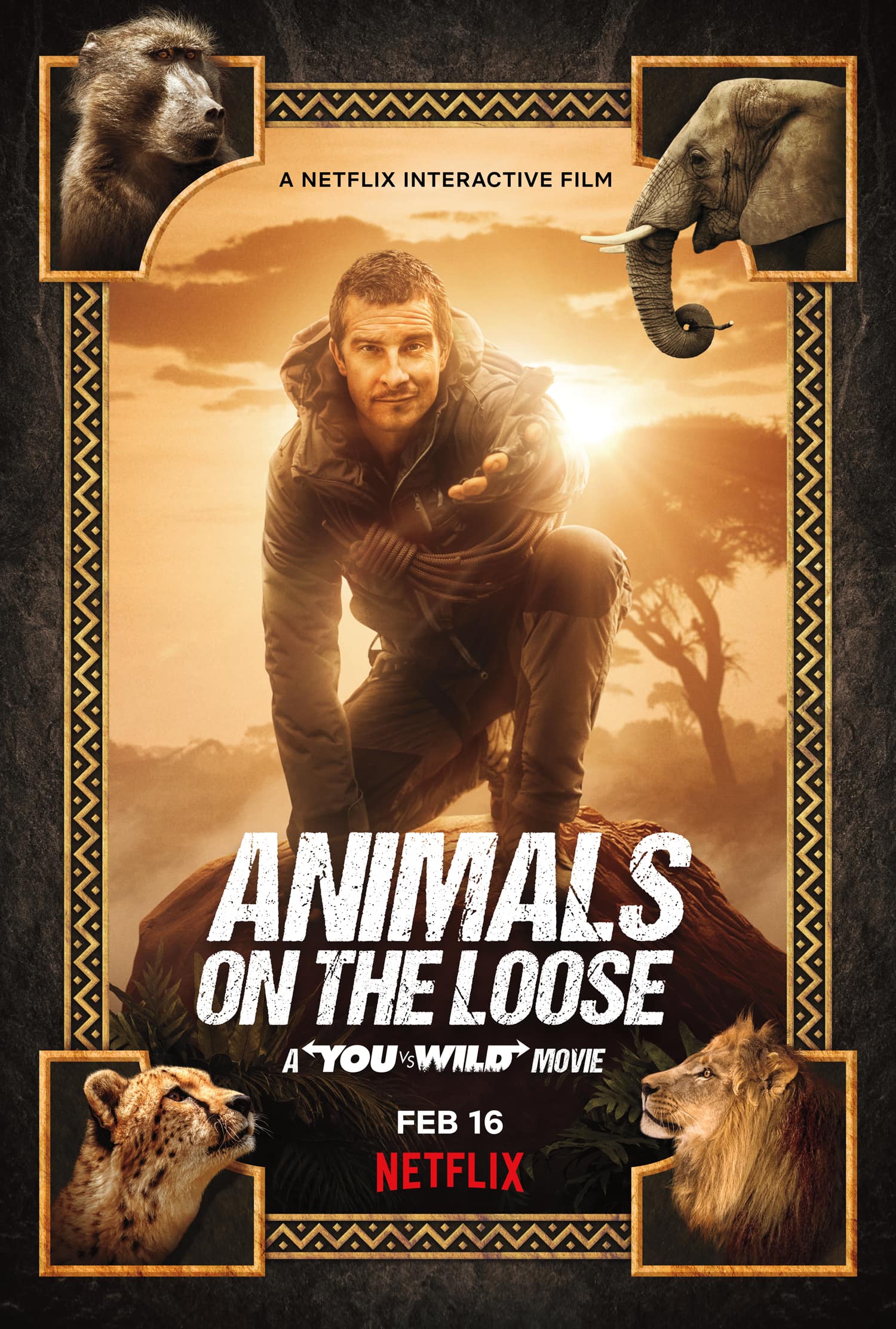 animals on the loose you vs wild poster