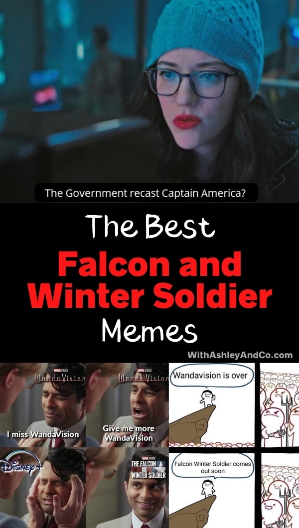 Best Falcon and Winter Soldier Memes