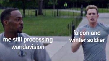 falcon and winter soldier meme Captain America falcon