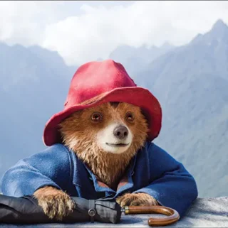 Paddington in Peru Review